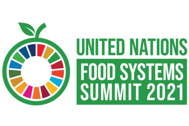 The logo for the United Nations Food Systems Summit