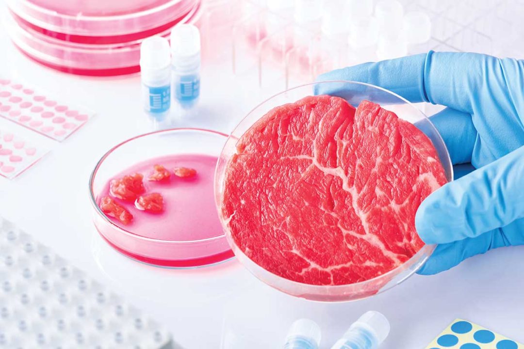 Beef in a petri dish