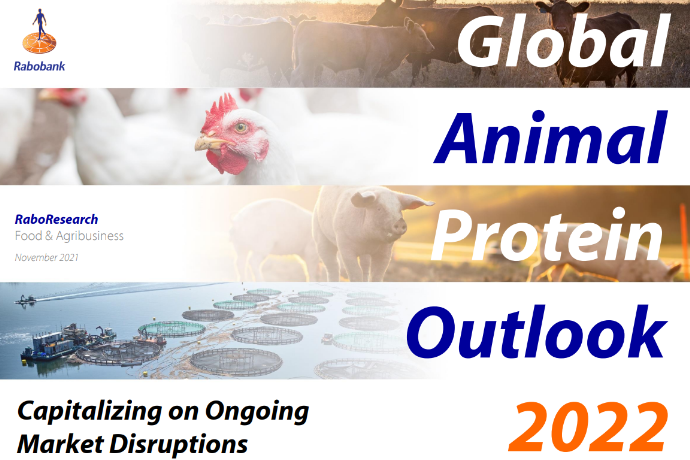 Global_Animal_Protein_Outlook_2022_smallerest.png