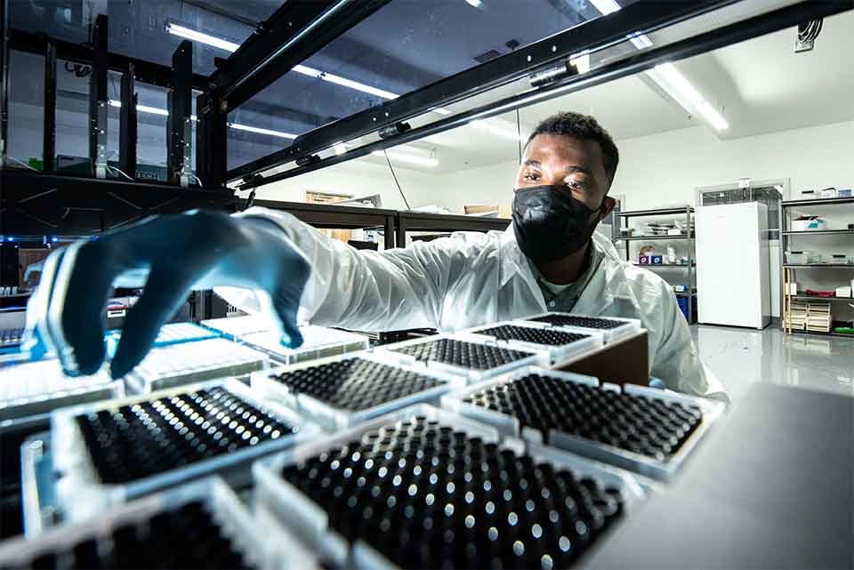 A laboratory technician replaces a test tube in a rack.