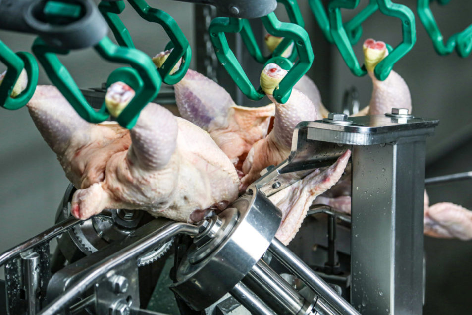 Poultry Processing Tech: Wings still rule