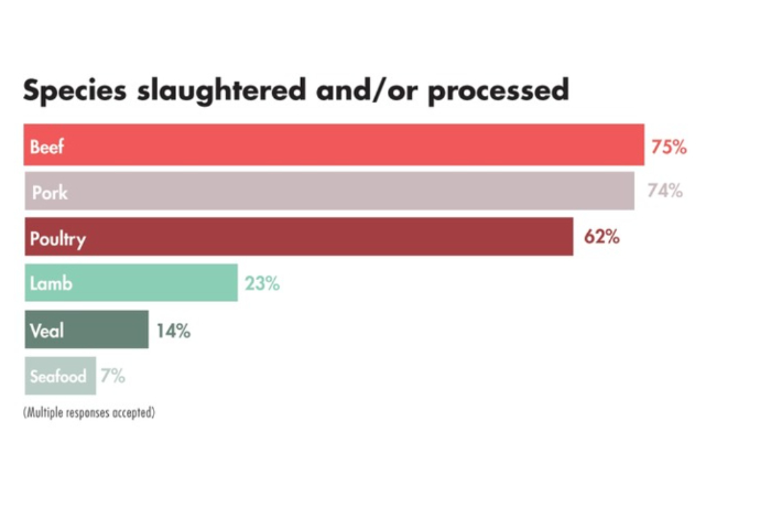 Spieces slaughter smaller.jpg