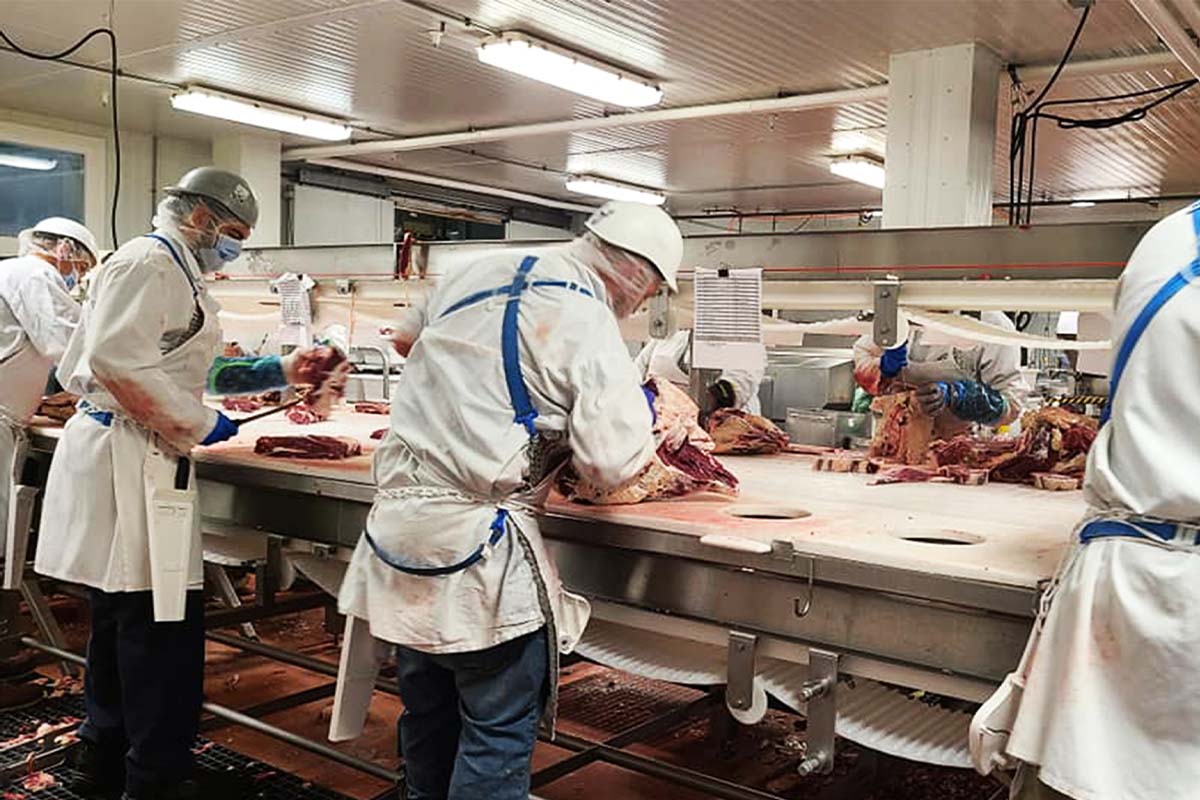 Vermont Packing House's workers butchering beef