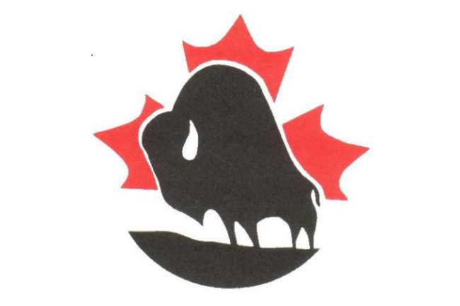 Canadian Bison smaller.jpg