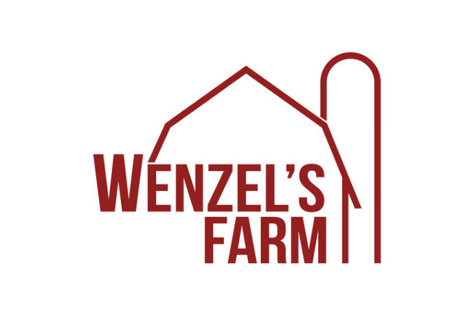 Beef Sticks - Wenzel's Farm