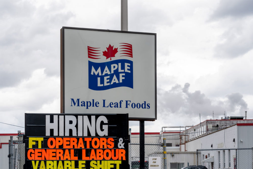 Maple Leaf company sign