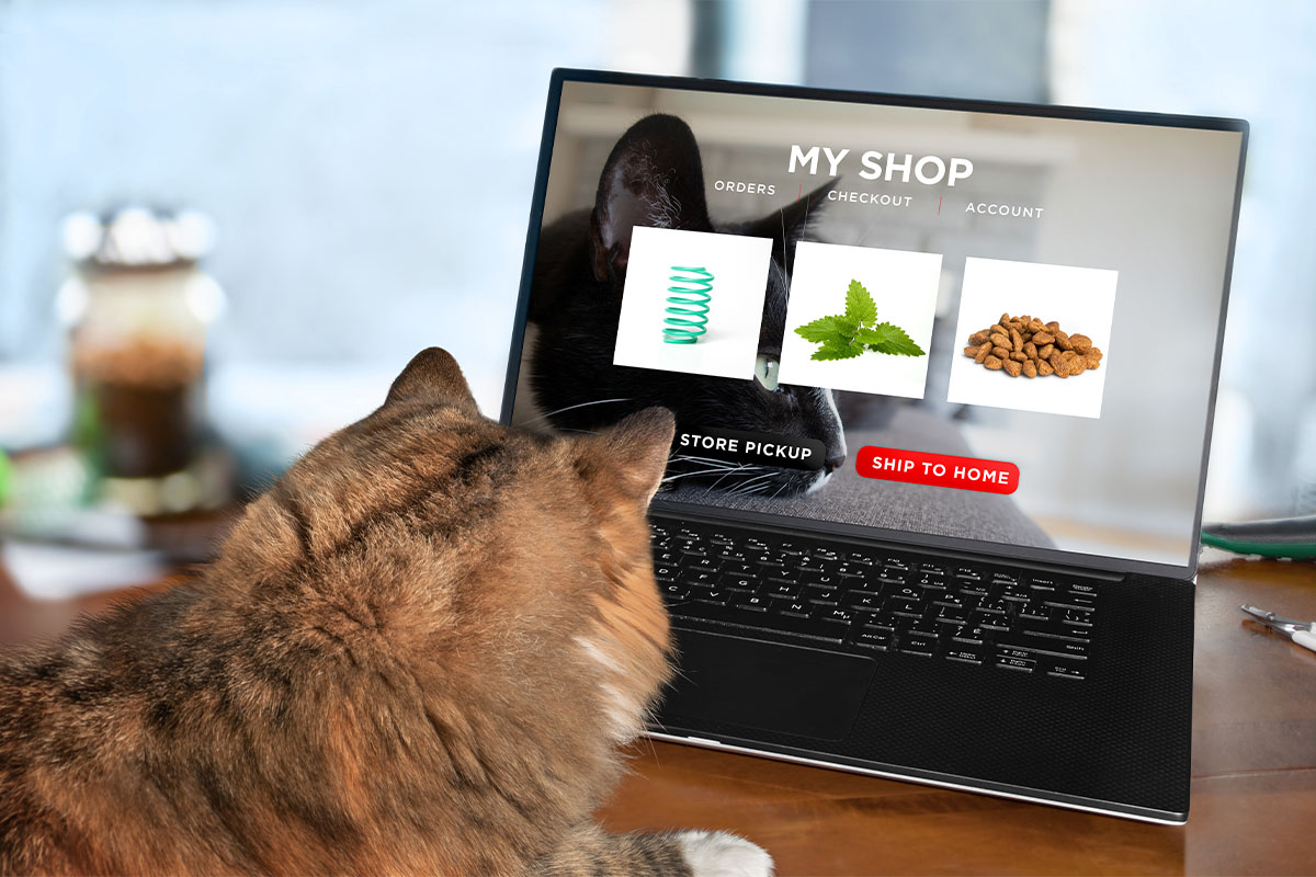 Pet clearance sales online
