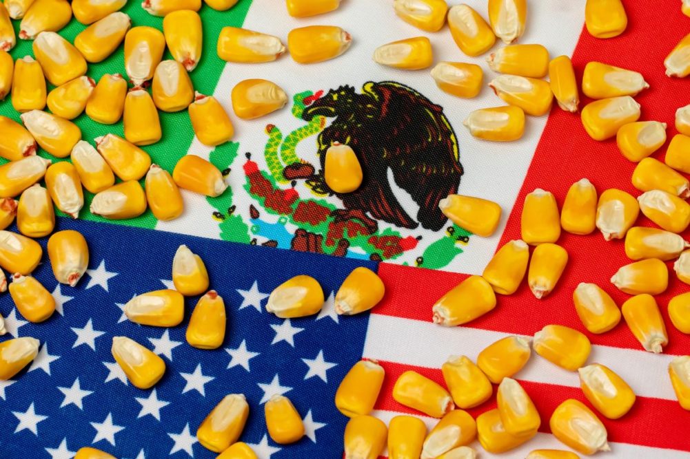 US, Mexico flags with corn scattered