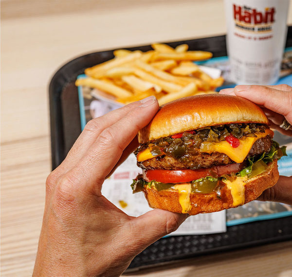 The Habit Grill's jalapeno char burger
