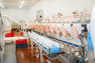 poultry processing line