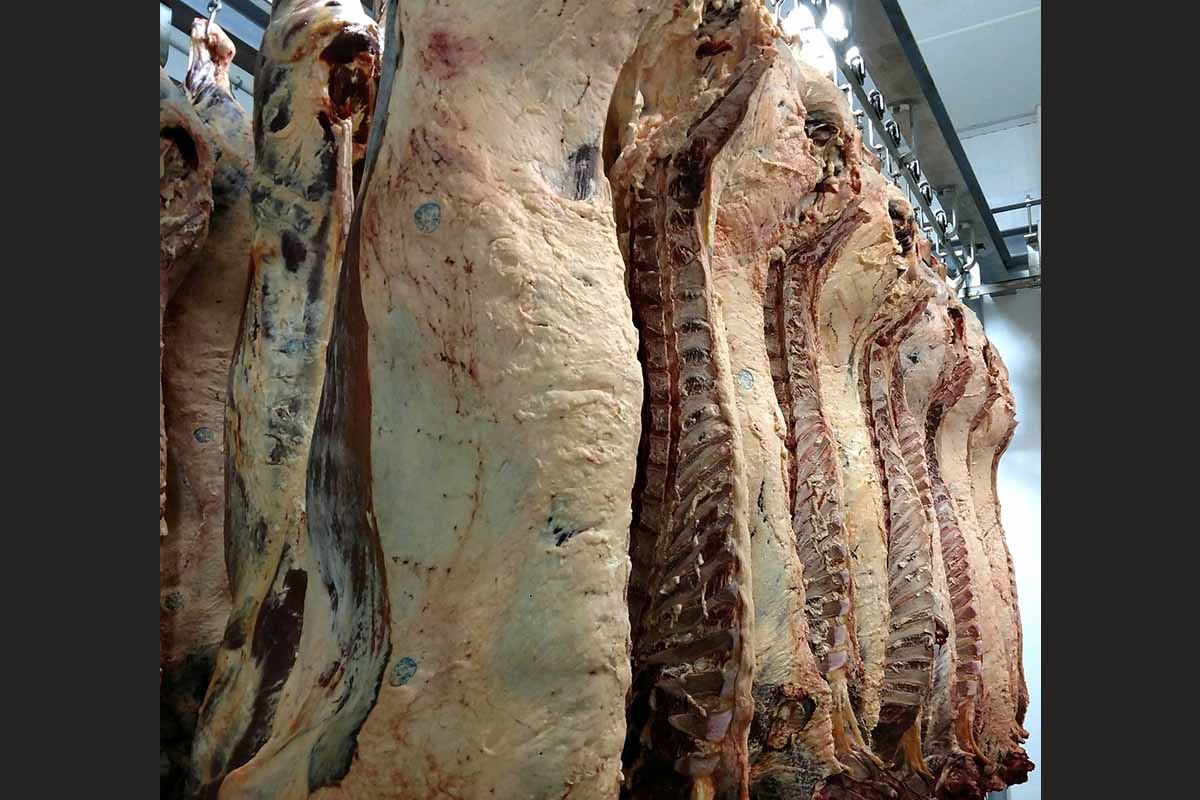 Beef Paradise Locker Meats.jpg