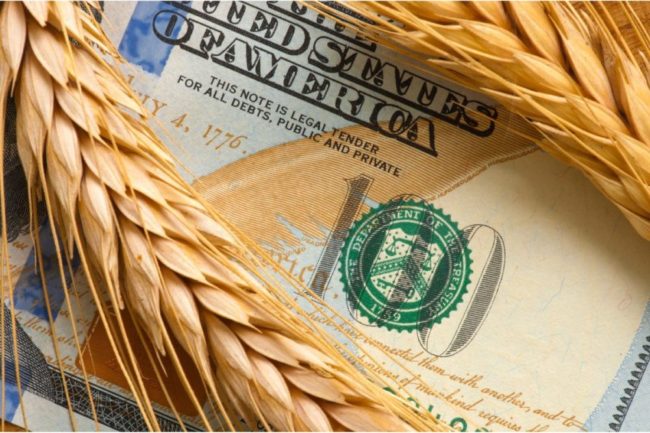 wheat-dollar-money_YURIY-KORZHENEVSKYY---STOCK.ADOBE.COM_e.jpg