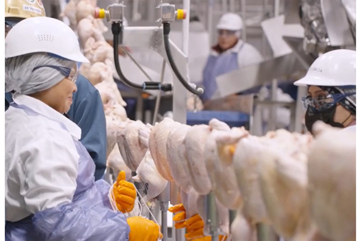 Poultry processing line workers