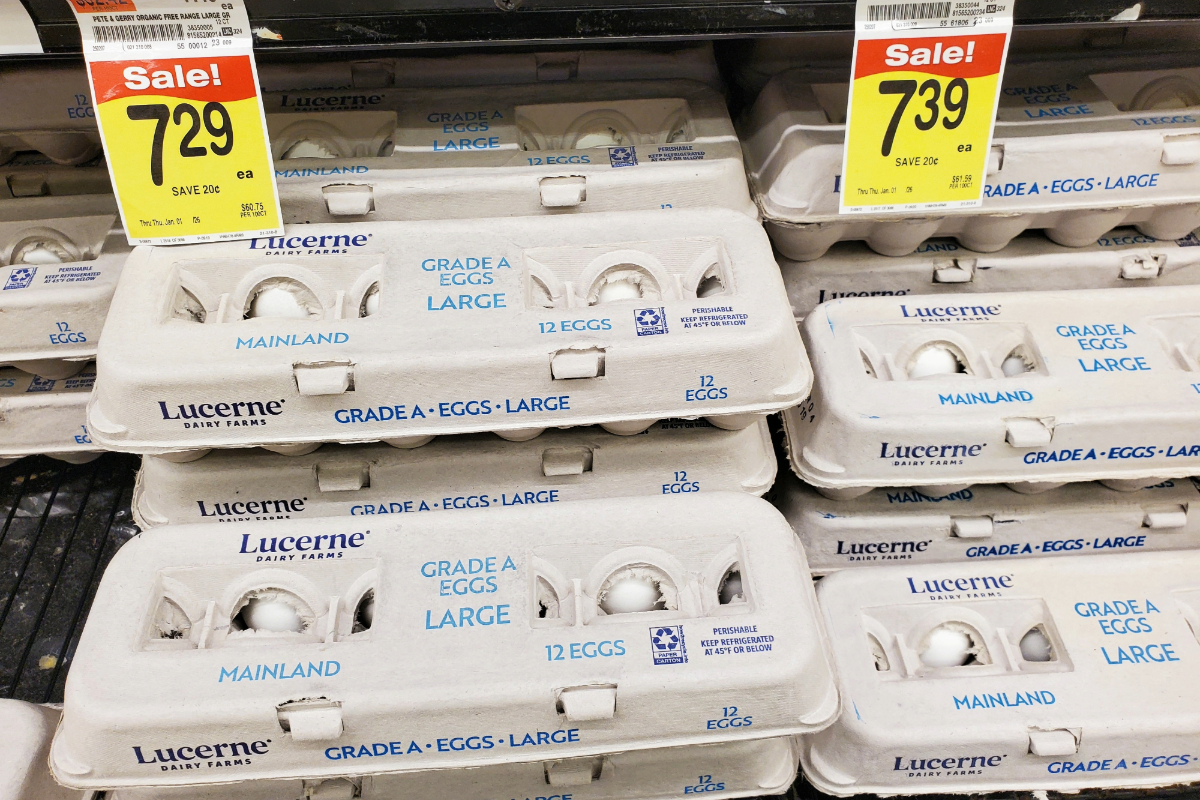 Egg cartons in retail store