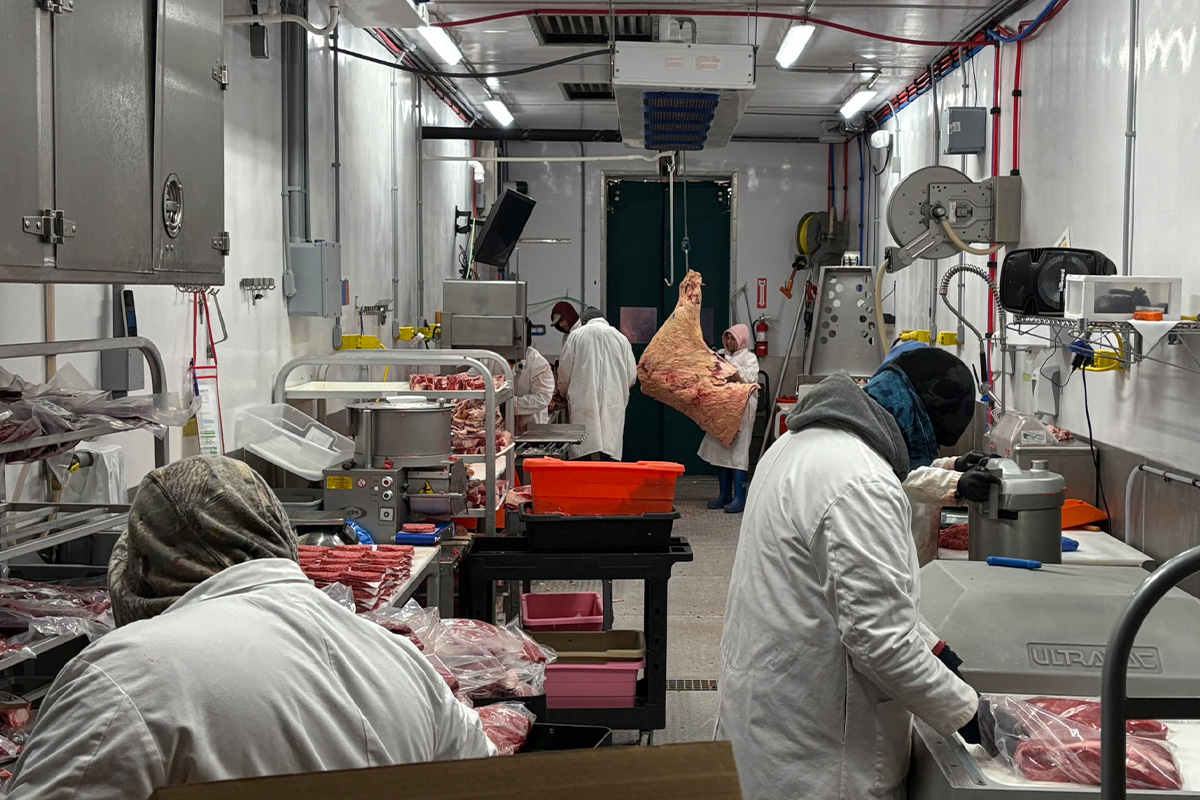 Planta de procesamiento de carne de res MTX