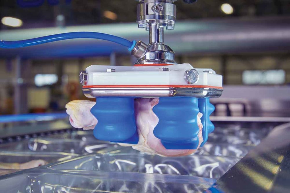 Soft Robotics grippers are compatible with most food-safe robots.