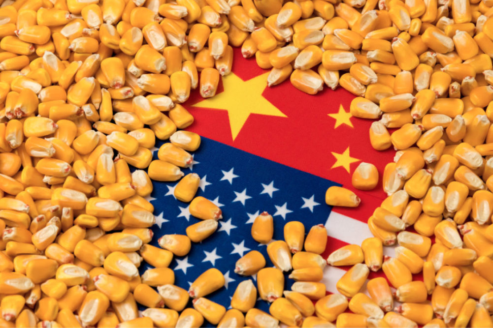 corn China USA