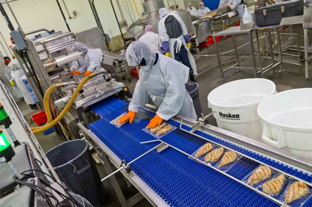 Detection technology systems are not a one-size-fits-all proposition for meat and poultry processors.