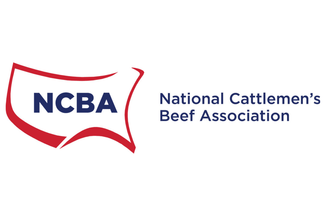 NCBA logo