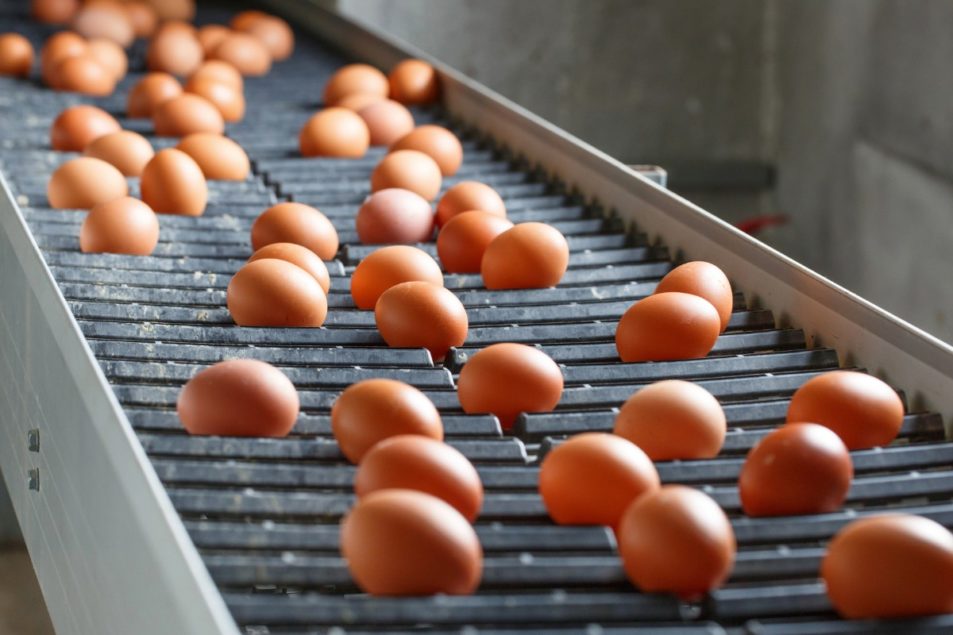 Egg Prices Shift Due To Erratic Consumer Buying Habits 2020 04