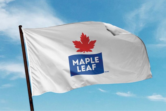Maple LEaf small