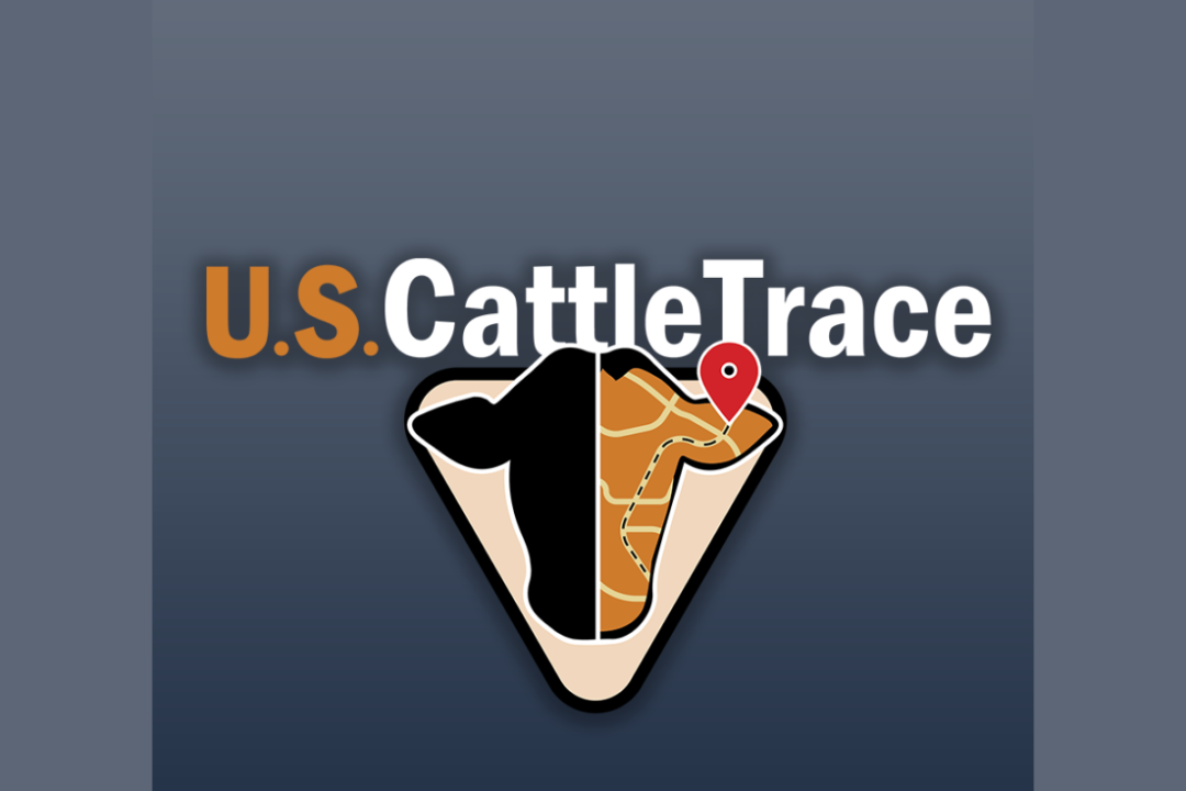 US CattleTrace