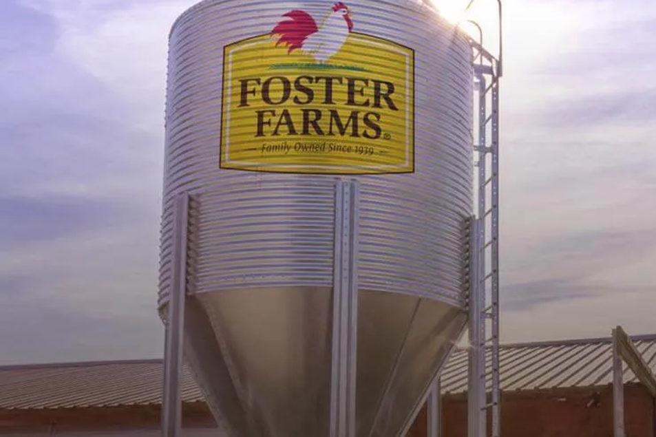 foster farms jobs