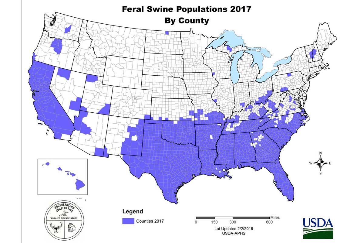Map of US feral swine population by county in 2017.