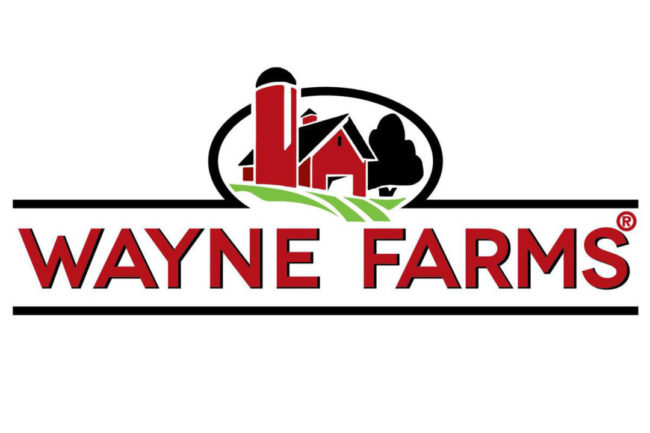 Wayne Farms smallest