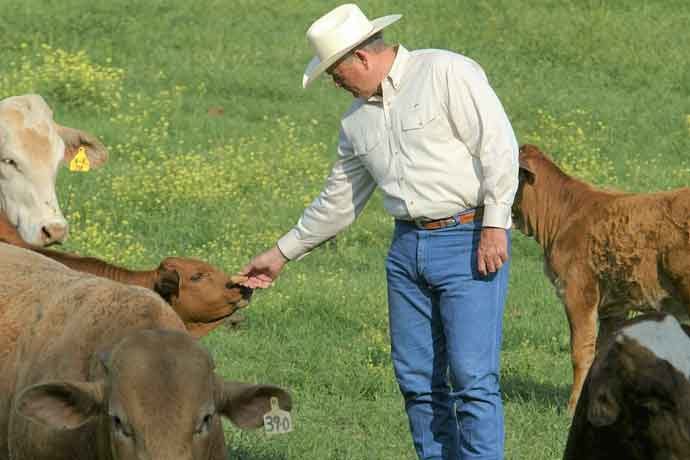 Nolan Ryan Beef was the first company to participate in the "Temple Grandin Responsible Cattle Care Program."