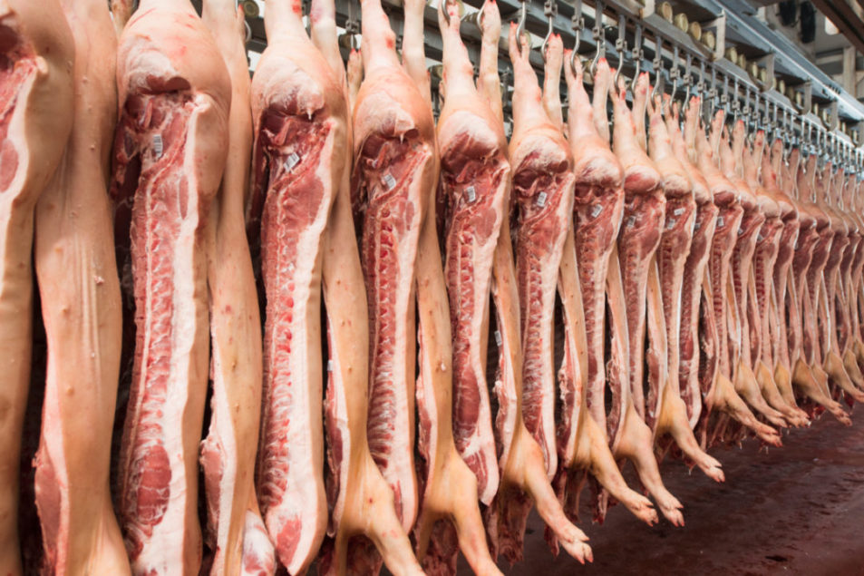 Pork producers beware: China begins swine herd rebuild | 2020-11-09